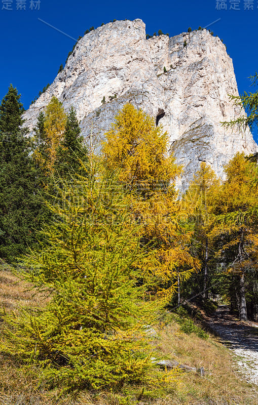 秋天高山白云石岩山景色，苏迪罗尔，意大利。在Groden, Selva di Val Gardena