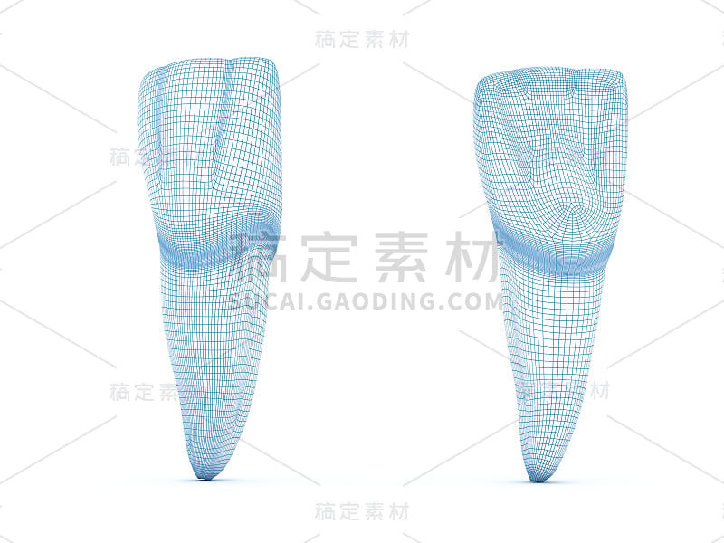 上颌中切牙的形态。连接3 d演示