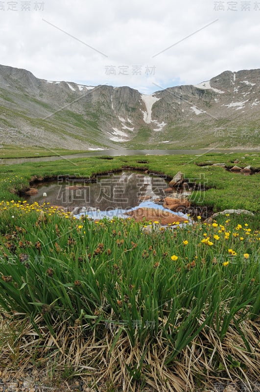 埃文斯山的山顶湖