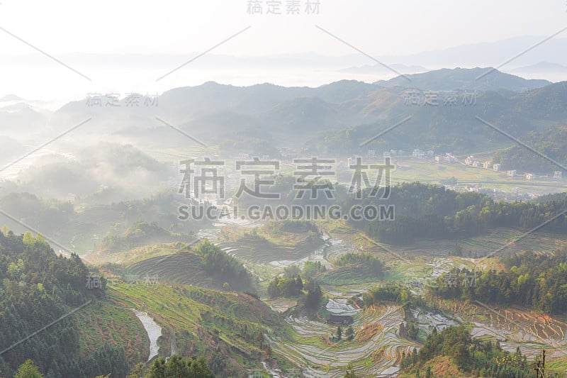 紫喜鹊梯田是中国风景区、自然文化遗产、水利风景区。