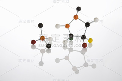 分子