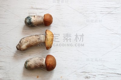 桌上有野生蘑菇