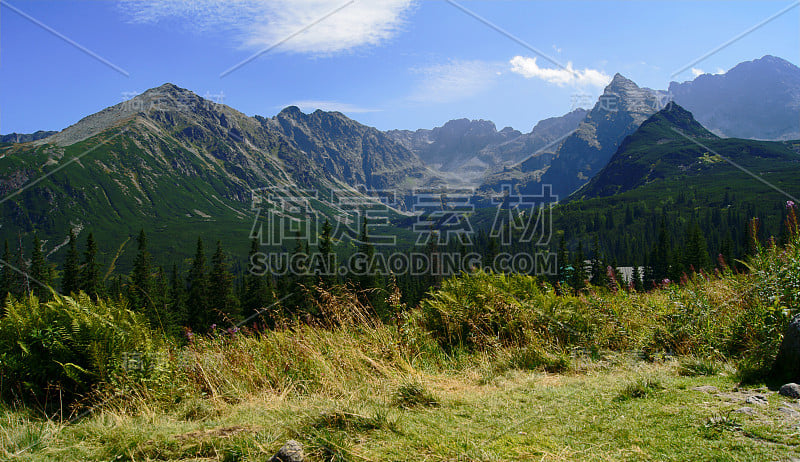 眉毛在山区,波兰,Tatras