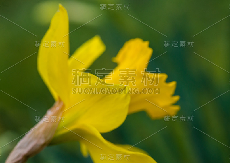 背对