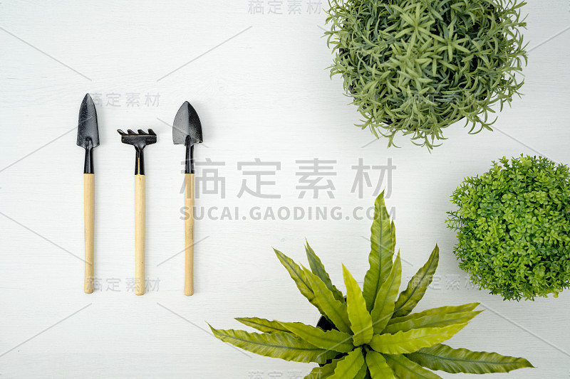 白色背景上的园艺工具和小型人造树。园林工程的概念。