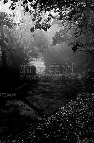 阳光在路上