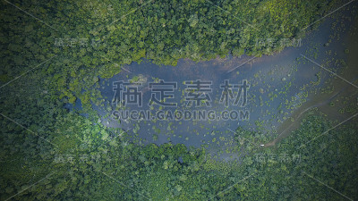 丛林湿地荒野直升机