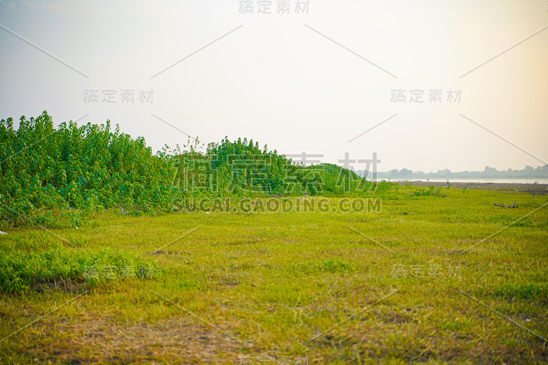 美丽的大自然，绿色的草坪，草地，湖泊地面。