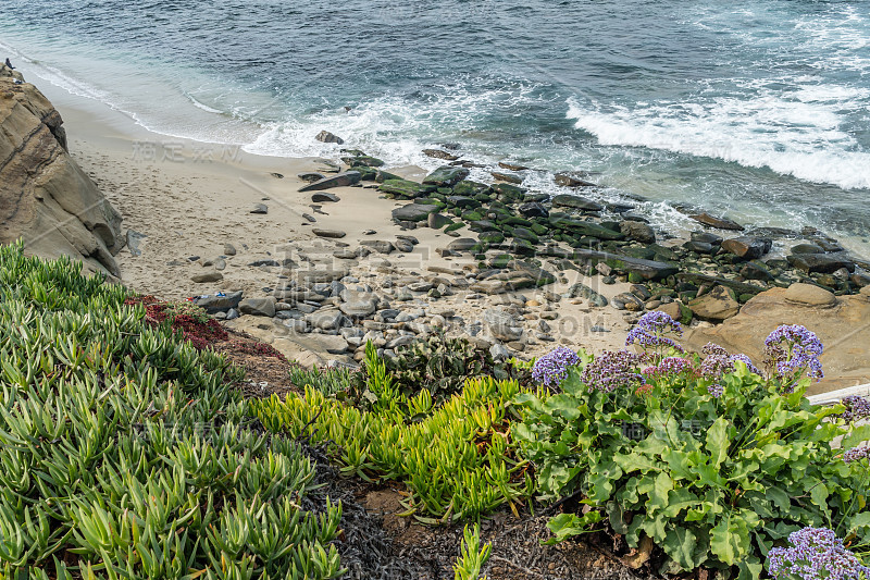 Diverse Beauty Graces the California Coast