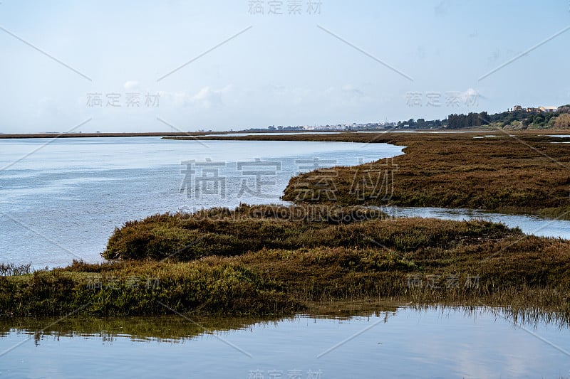 湿地和沼泽在葡萄牙塔维拉，在巴里海滩