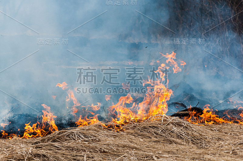 燃烧着的干草冒着不透明的蓝色浓烟