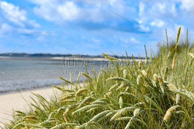 草地与海滩和北海的背景