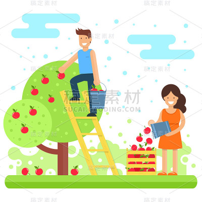 一个幸福的家庭收集苹果作物