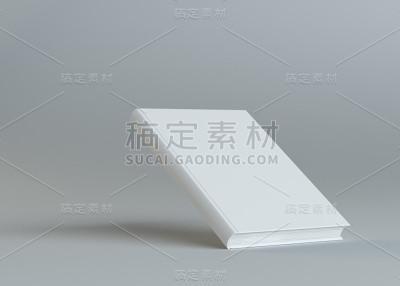 在灰色背景上的白皮书模板