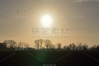 开垦的土地