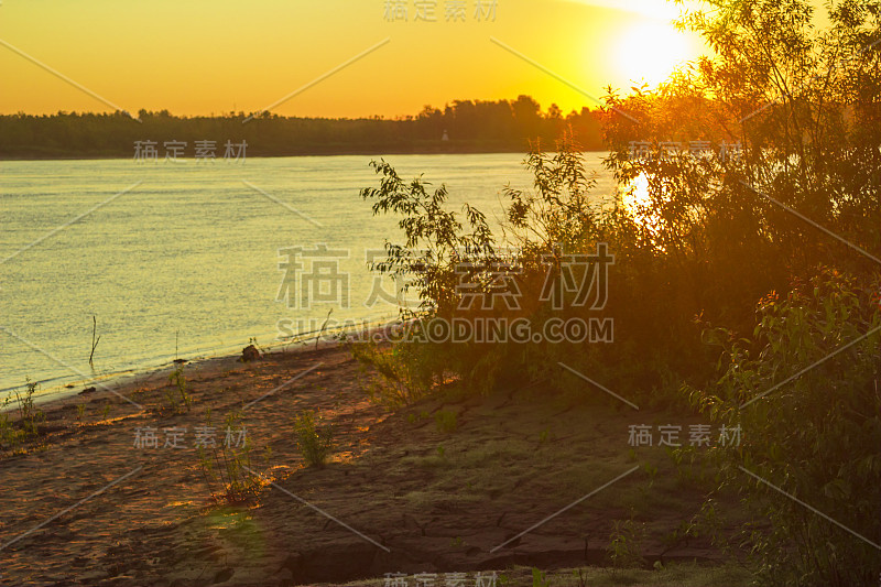 夏天的风景