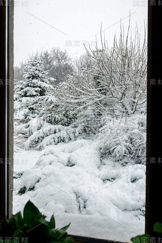 冬天，花园里下雪。白雪覆盖的花园，霜冻的天气。