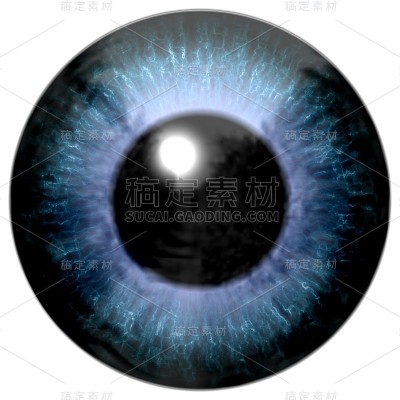 眼睛的细节有蓝色虹膜和黑色瞳孔