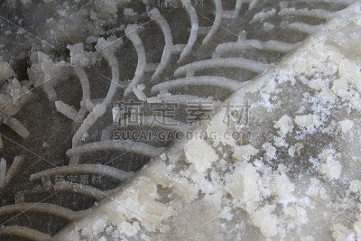 汽车在雪地上留下的痕迹