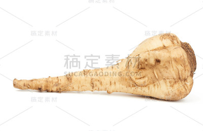 大的防风草根孤立在白色的背景上，