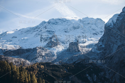 壮丽的松树、绿林和蓝山