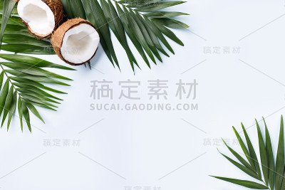蓝色背景上的棕榈叶和椰子
