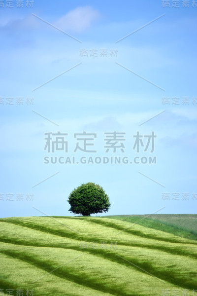 独自一人
