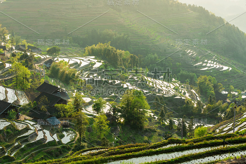 紫喜鹊梯田是中国风景区、自然文化遗产、水利风景区。