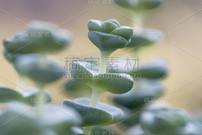 一串钮扣合上