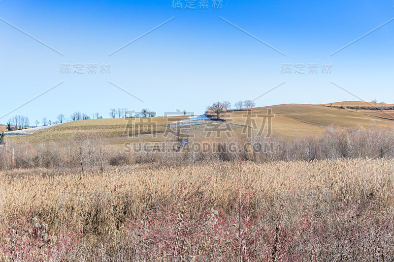 乡村景观，都灵山的全景