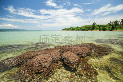 麦岛岛麦角泰国