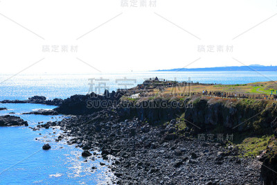 素曲，油菜花，春天，