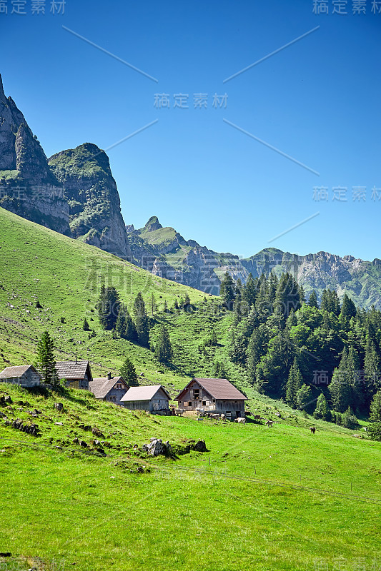 瑞士阿尔卑斯山是典型的夏季景观