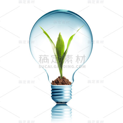 里面有绿色植物的灯泡