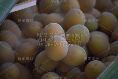 未成熟的红枣果实香甜，黄色挂在花园里，健康新鲜的食品