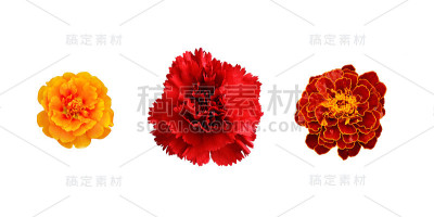 的花