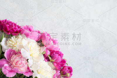灰色背景上的粉白牡丹花束