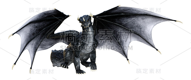 3D插图幻想龙在白色