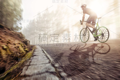 在森林道路上的赛车