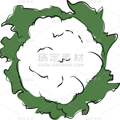 菜花彩色草图矢量图标