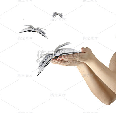 飞的书