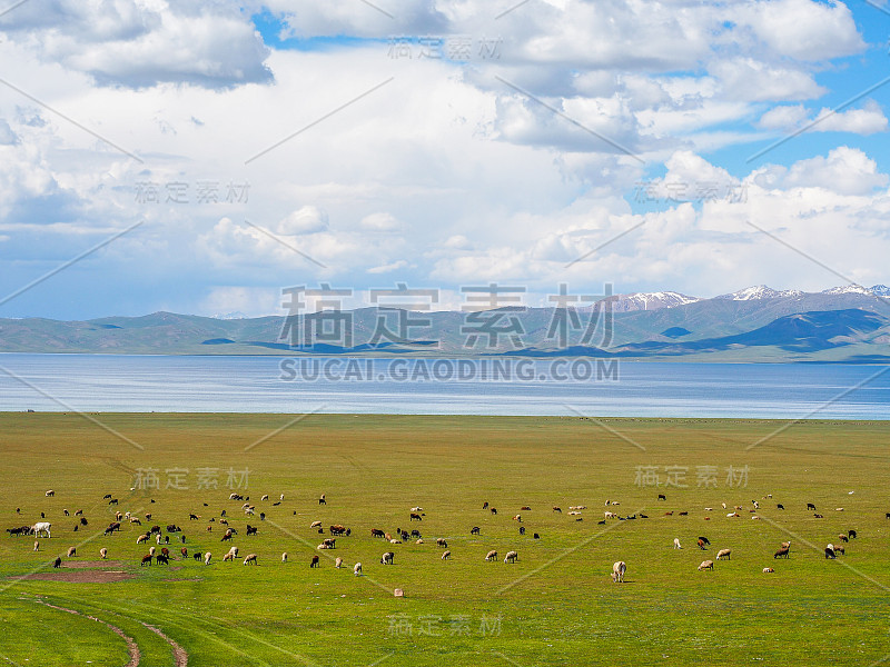 天山山脉，吉尔吉斯斯坦