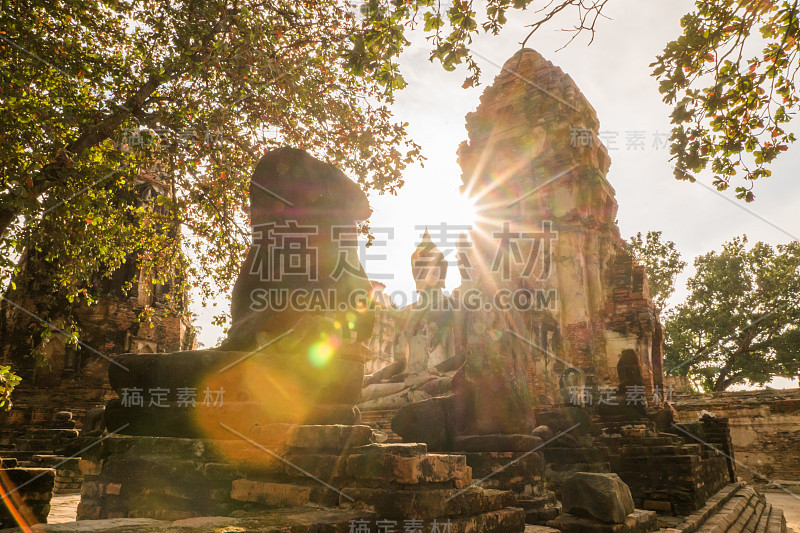 在泰国泰国大城府旅游。佛像在大树。考古遗址