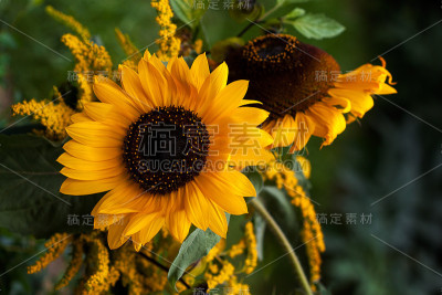 太阳能系统