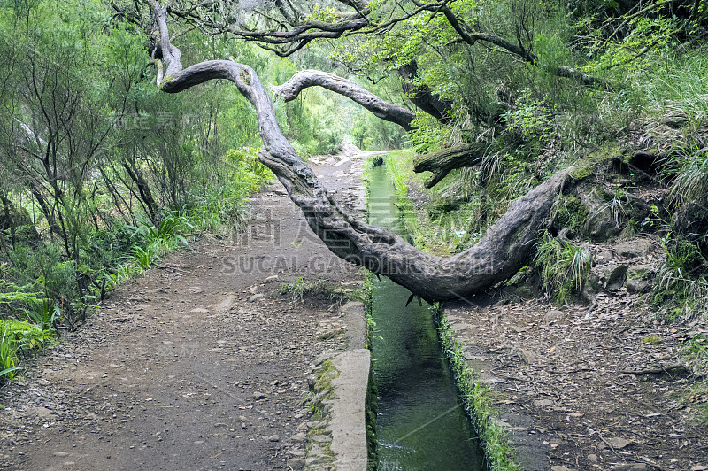 莱瓦达二十五号通道旅游路线拉巴路，马德拉岛