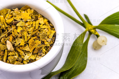 槲寄生，一种草药，用灰泥干燥和新鲜的叶子