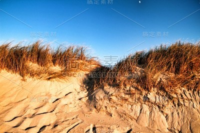 阿威罗美丽的沙滩，沙丘和灌木丛