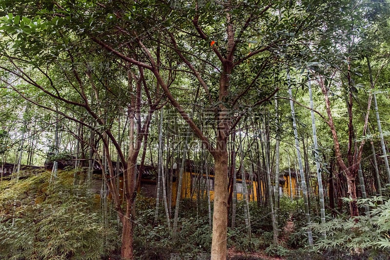 灵隐寺飞来峰的岩画。杭州最大的佛教寺庙之一