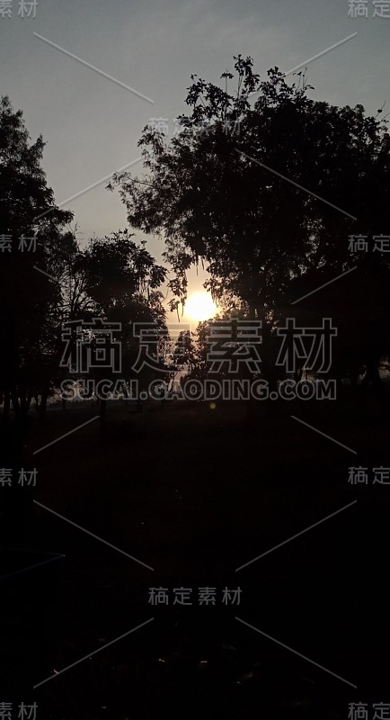 日出