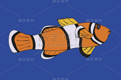 小丑鱼